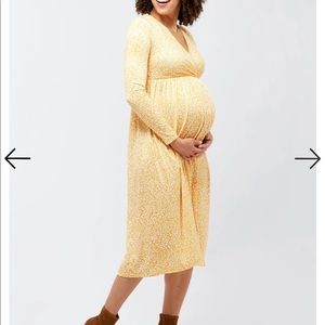 Augusta Maternity + Nursing Dress